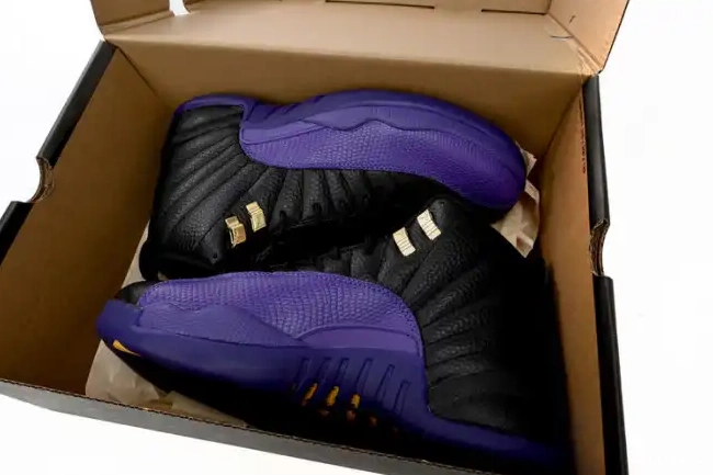 Rep Field Jordan 12 Retro CT8013-057 Air Purple 0624